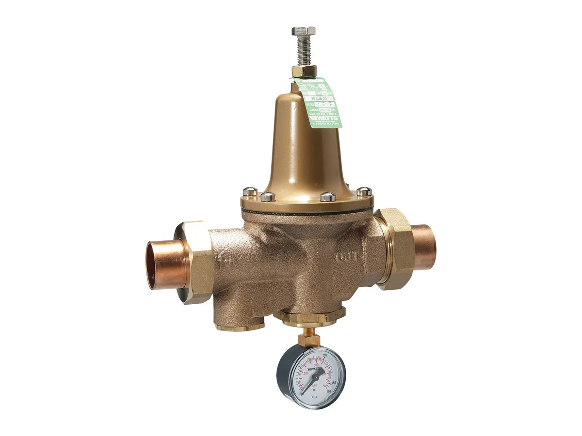 Watts 0009376, 1-1/4 LF25AUB-S-DU-GG-Z3