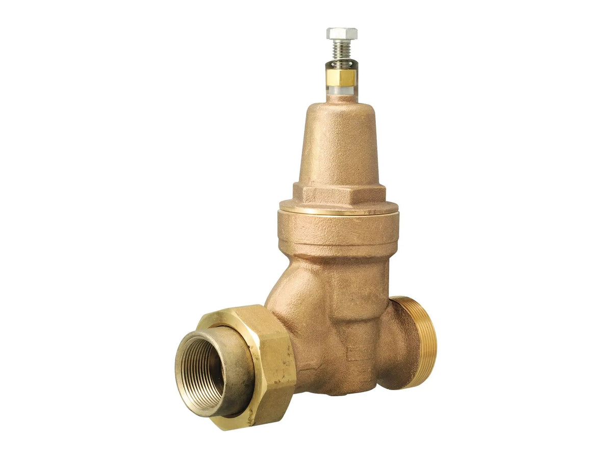 Watts 0009691, 2" LFN55 BU Valve