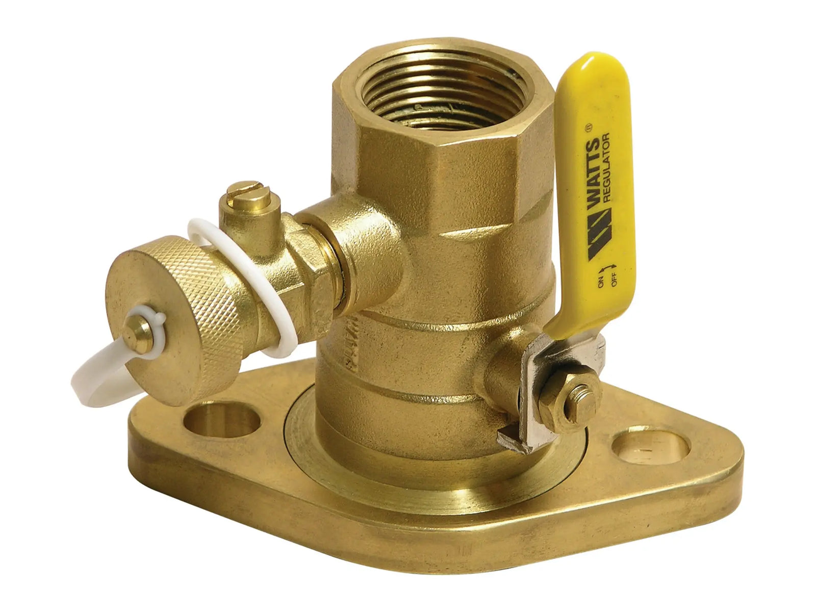 Watts 0067790, 3/4" Isolation Pump Flange, Threaded, Purge Port and Swivel Flange