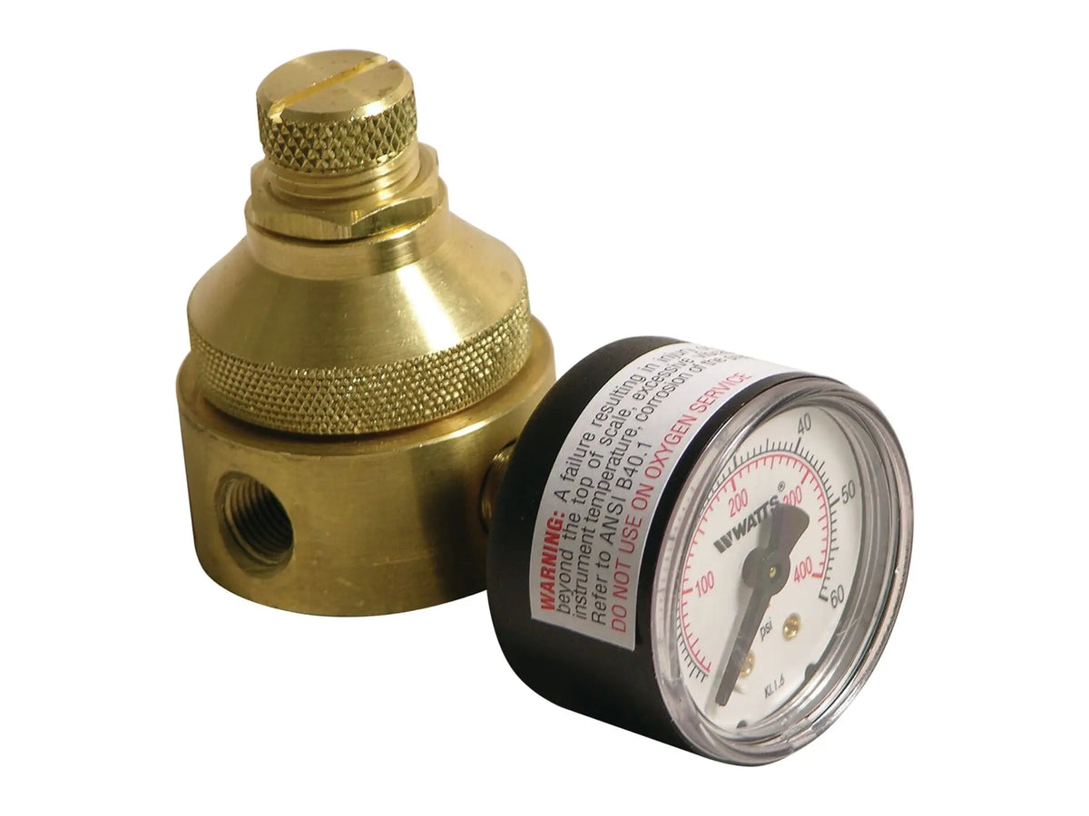 Watts 0121253, 1/8 LF560-G Pressure Gauge 0-60 PSI