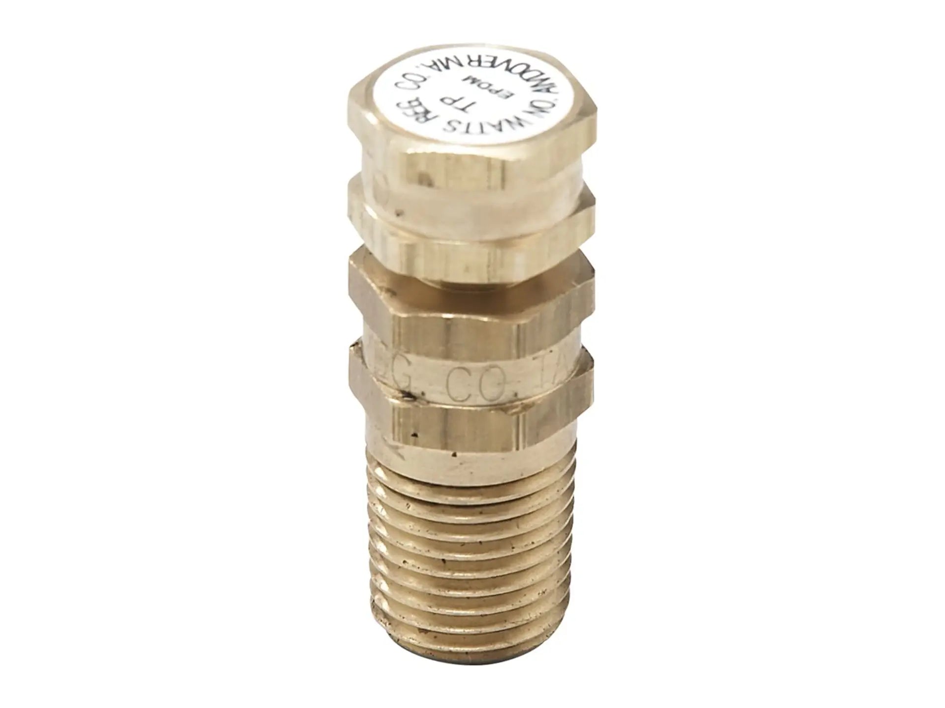 Watts 0123005, 1/4" Lead Free Temperature and Pressure Test Plug