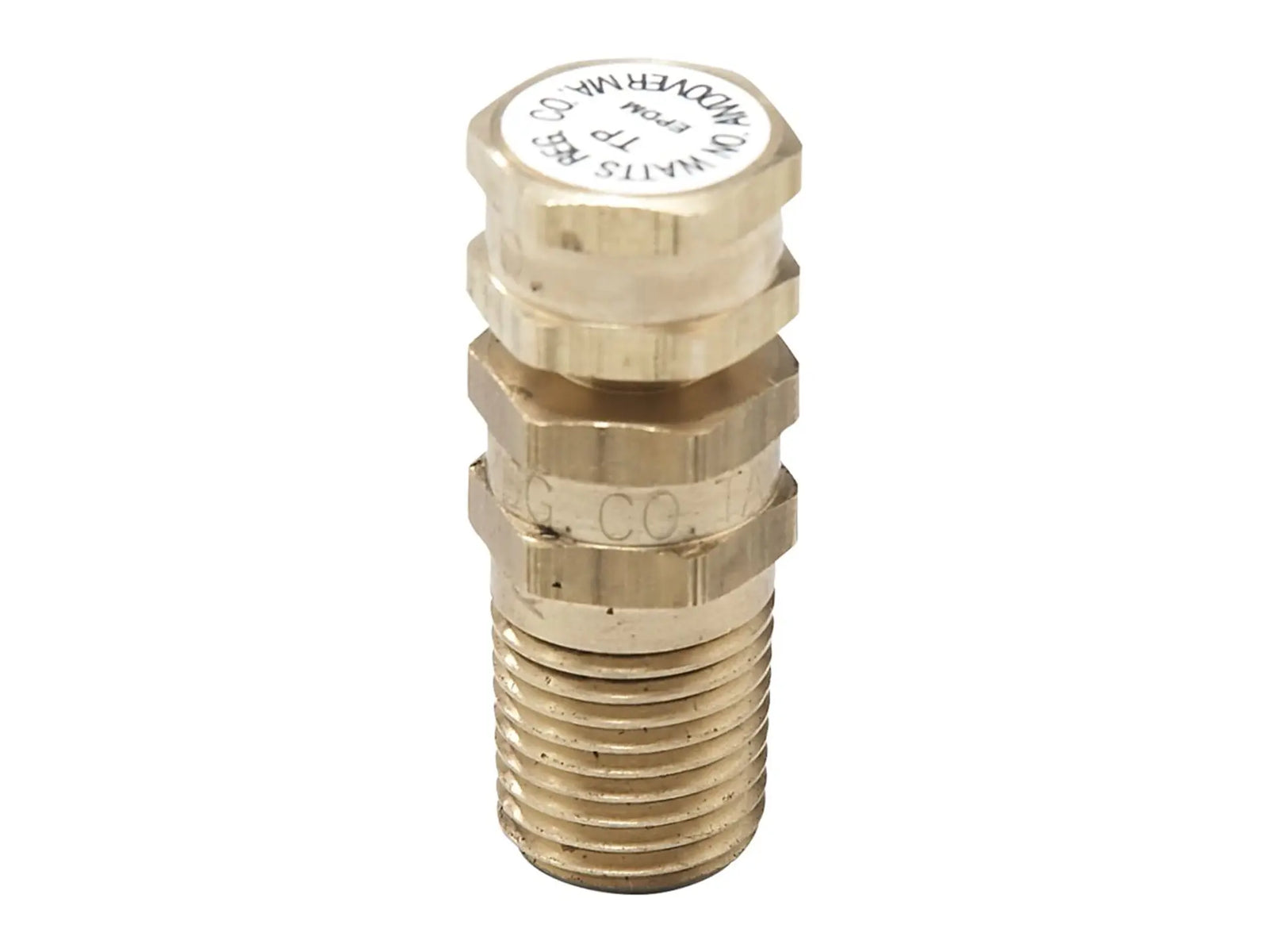 Watts 0123006, 1/2" Lead Free Temperature and Pressure Test Plug