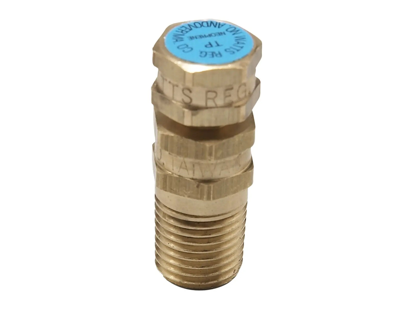 Watts 0123013, 1/2" Lead Free Test Plug for Temperature or Pressure Gauge