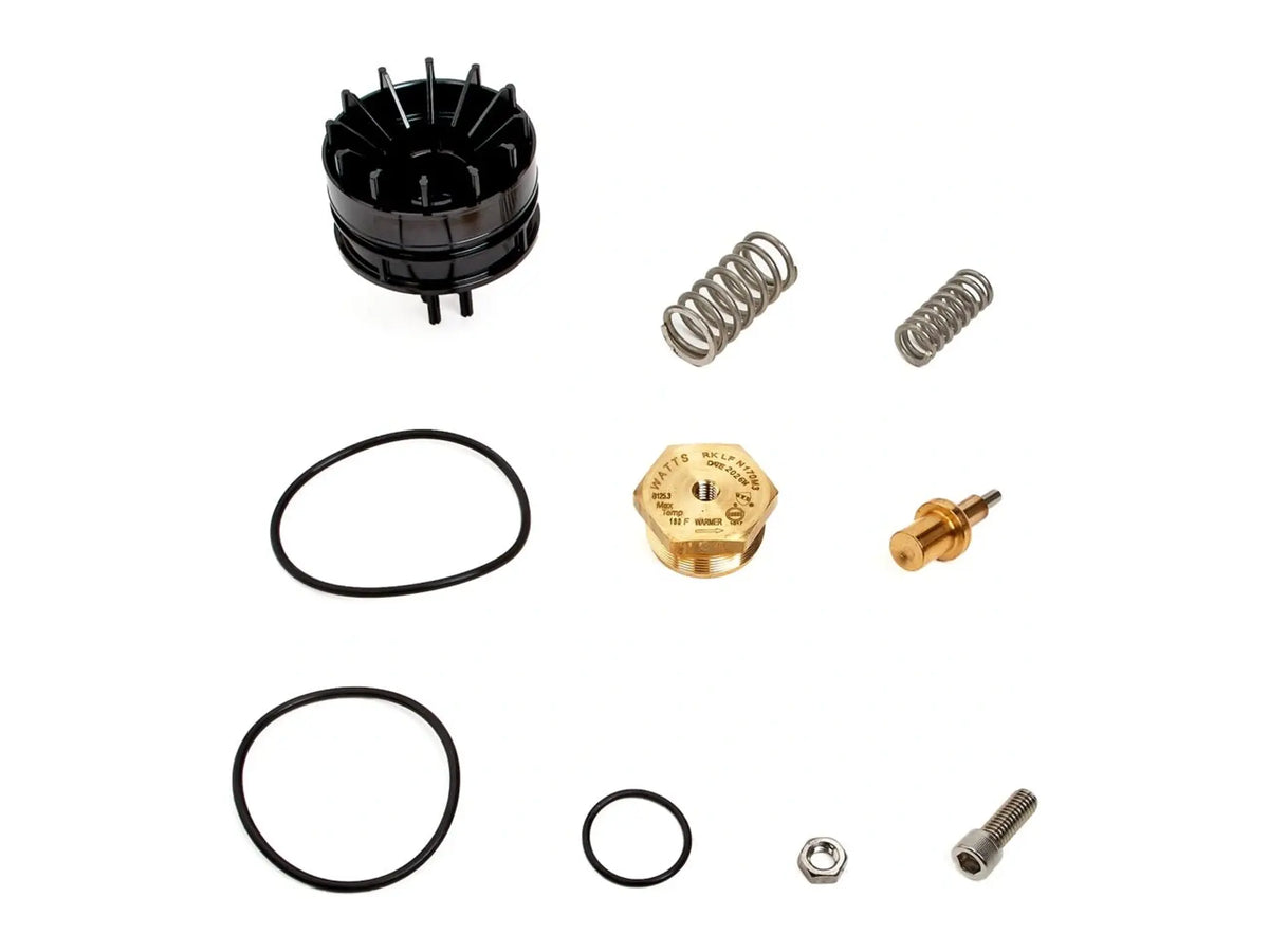 Watts 0125153, Thermostat Repair Kit for 1-1/4" to 2" LFN170 Series Valves