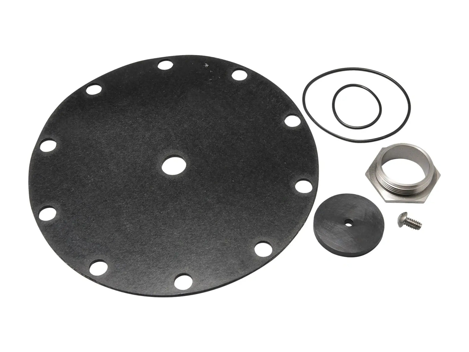 Watts 0125369, Repair Kit LF223N 1.5" Lead Free