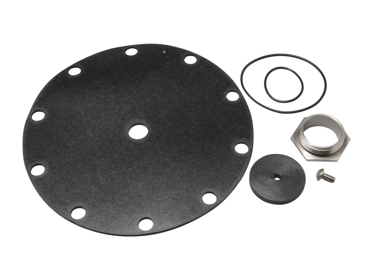 Watts 0125369, Repair Kit LF223N 1.5" Lead Free