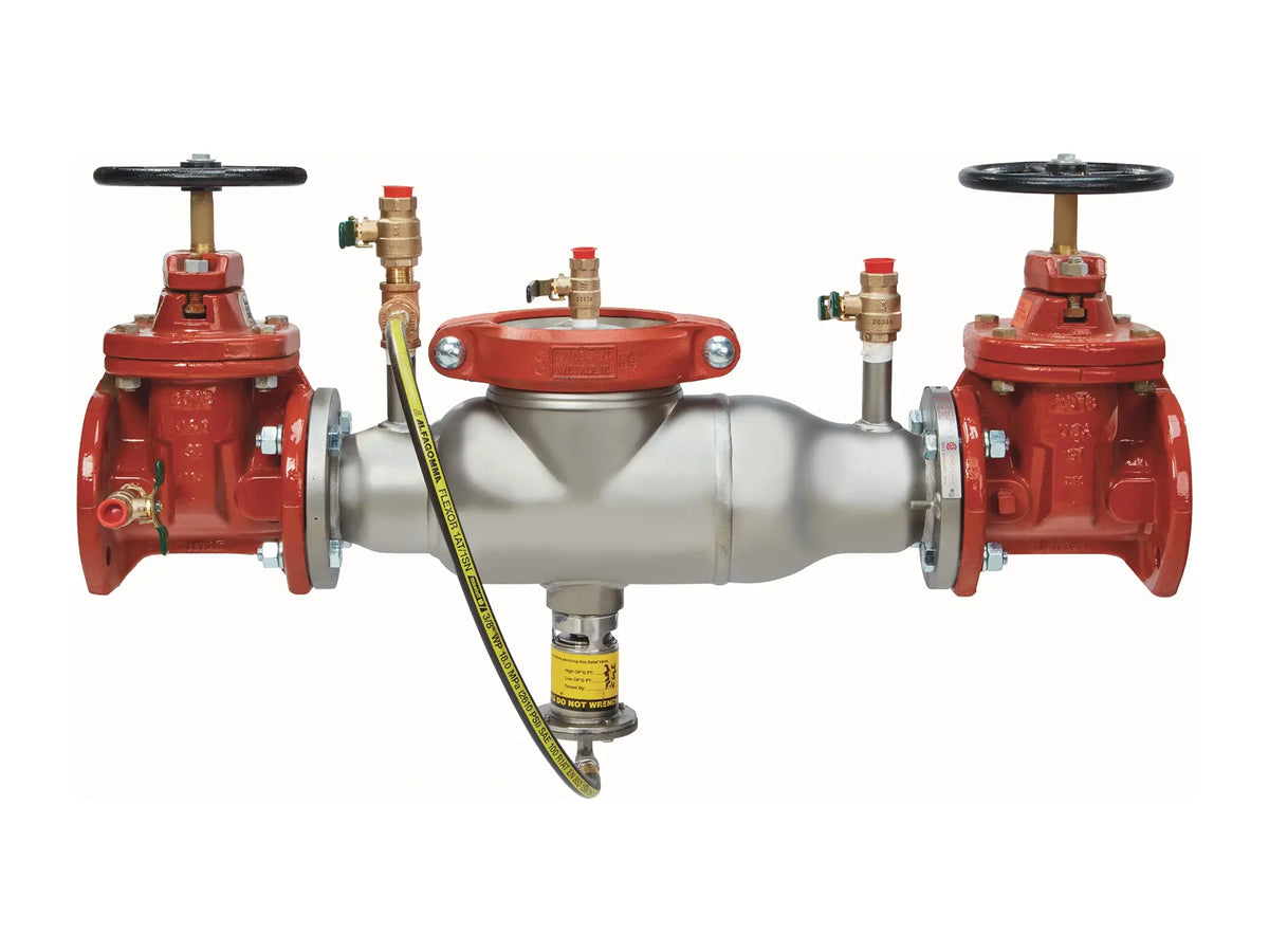 Watts 0439400, 2-1/2" Model 994-DNRS