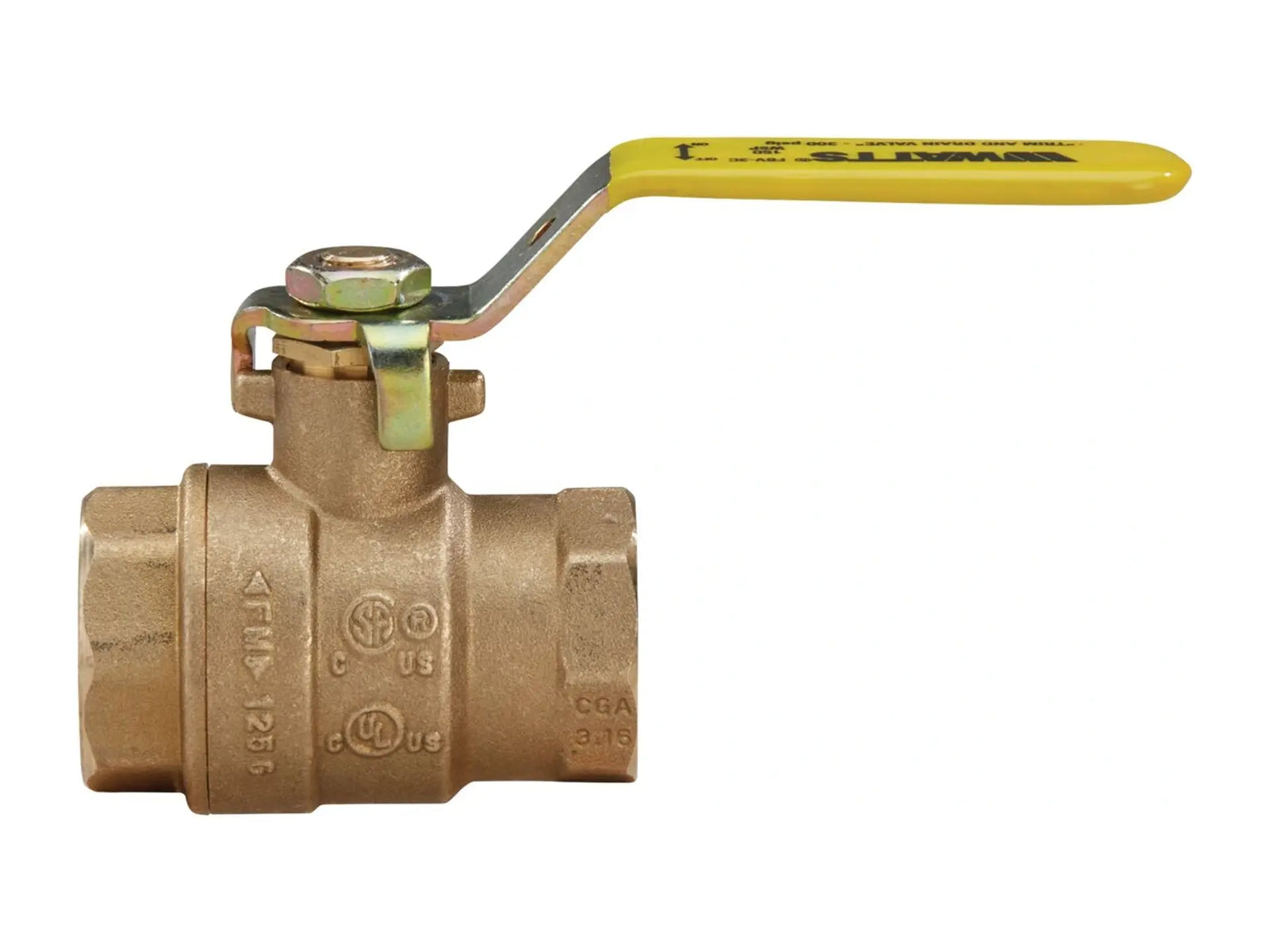 Watts 0547129, 1 FBV-3C Trim Drain Valve