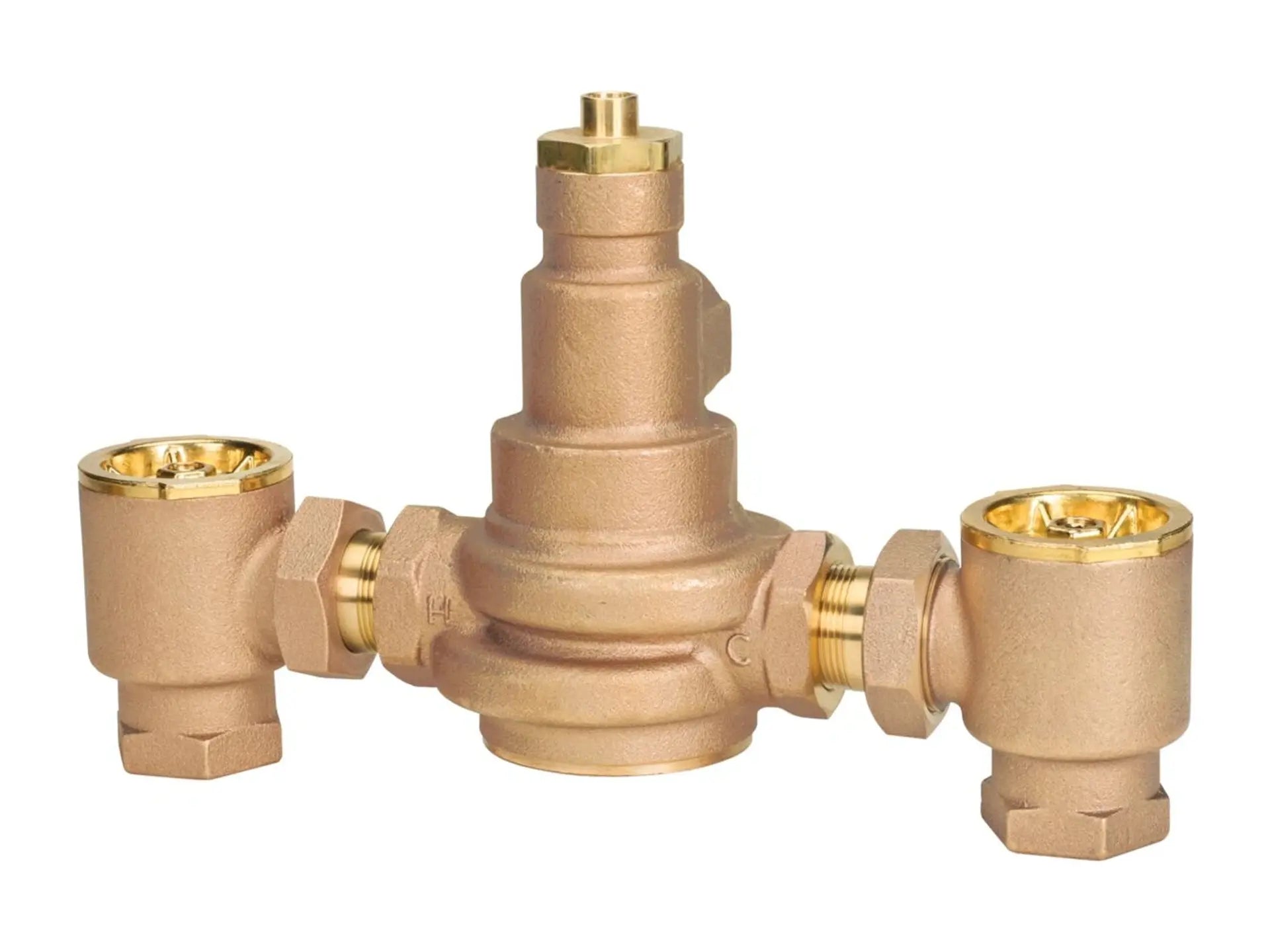 Watts 0559170, LFN170-M3-CSUT Hot Water Master Tempering Valve with Checkstops