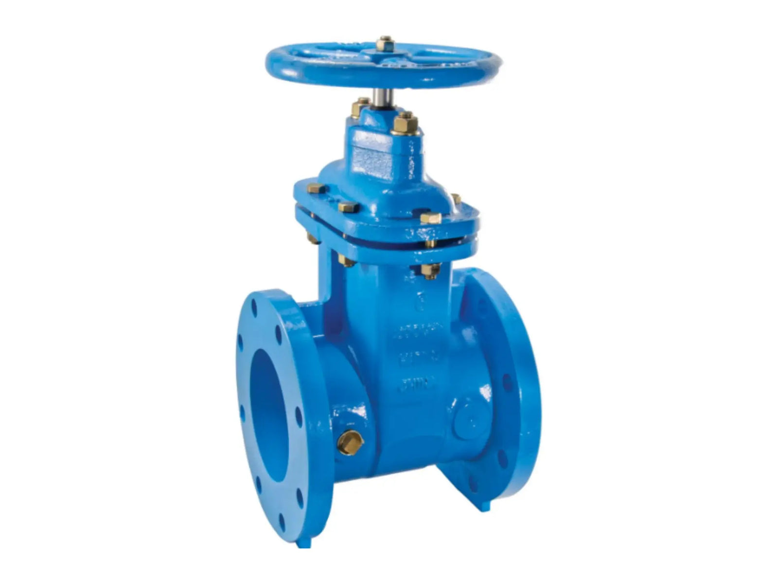 Watts 0701212, 8" NRS RW Gate Valve