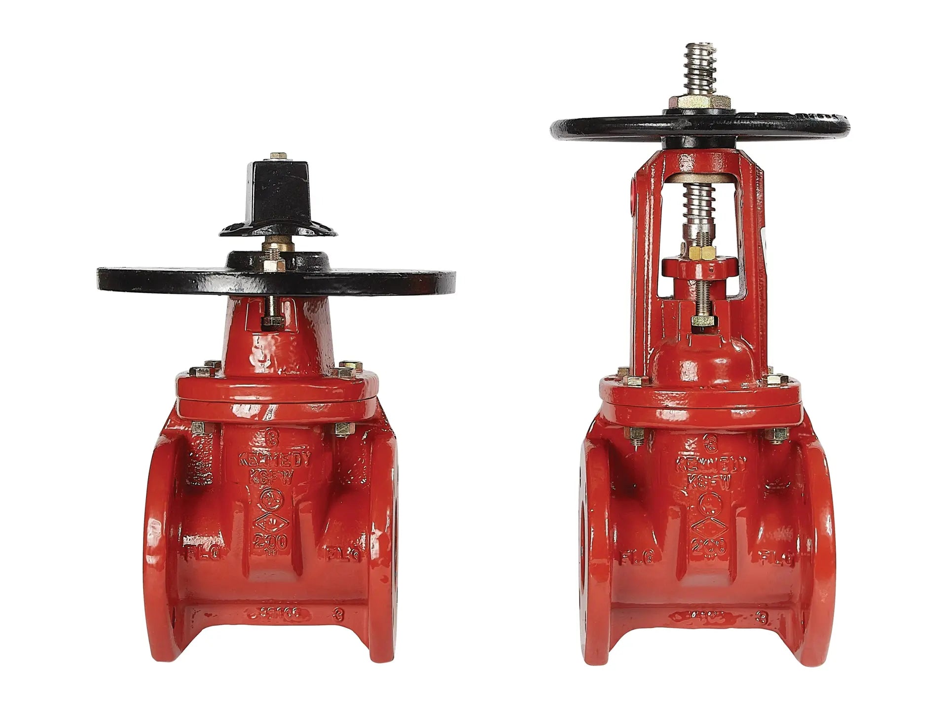 Watts 0702411, 4" OSY/PIV Gate Valve Pack