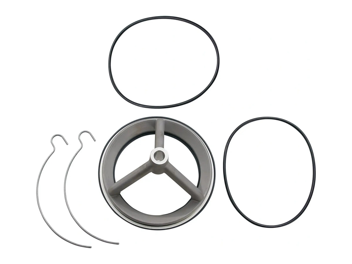 Watts 0794021, LFRK 709-S Series Repair Kit