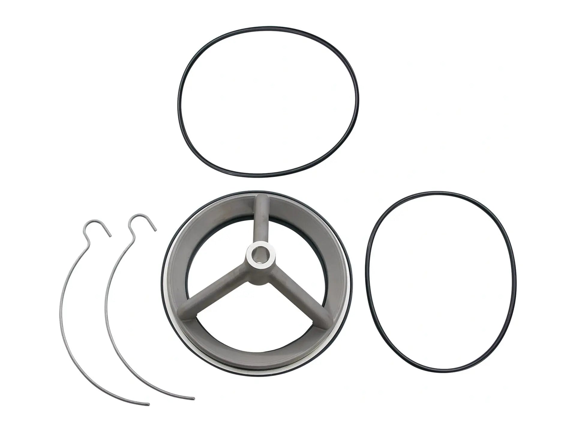 Watts 0794021, LFRK 709-S Series Repair Kit