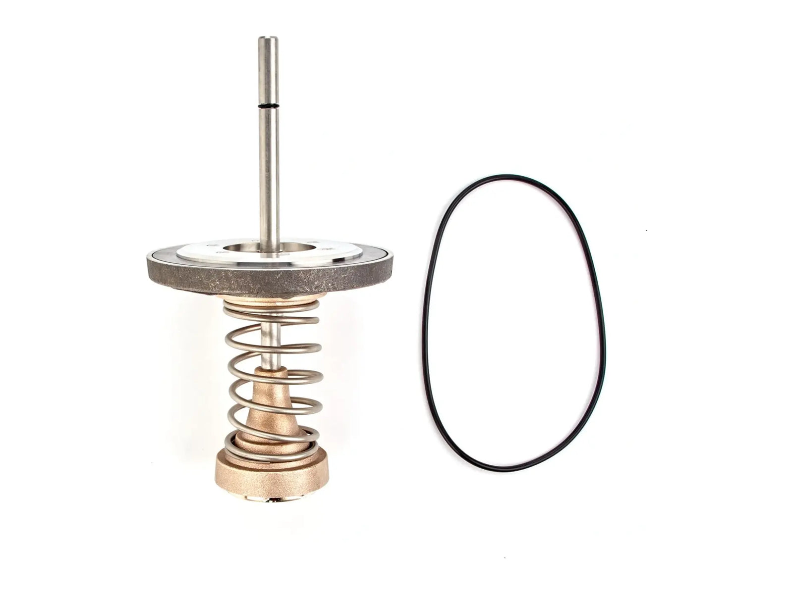 Watts 0794026, LFRK 709DCDA-CK1 Series 6 Repair Kit
