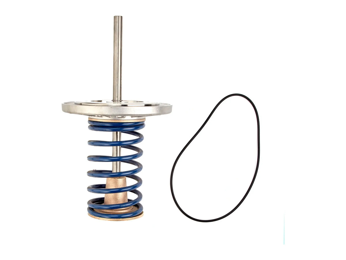 Watts 0794028, LFRK 709DCDA-CK1 Series Repair Kit