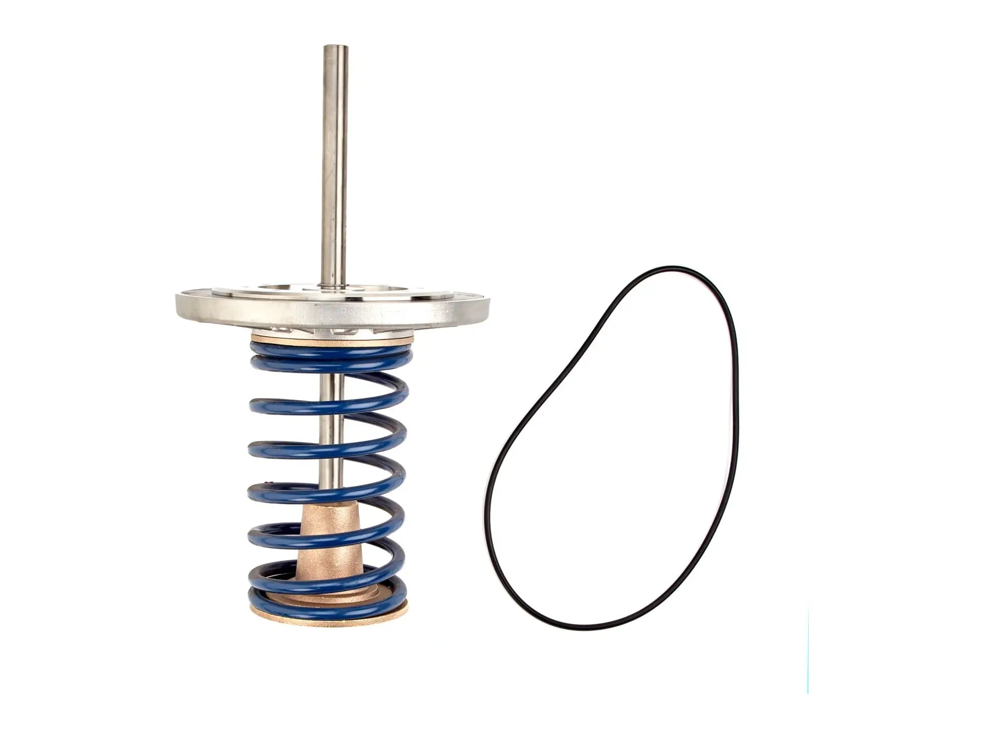 Watts 0794028, LFRK 709DCDA-CK1 Series Repair Kit
