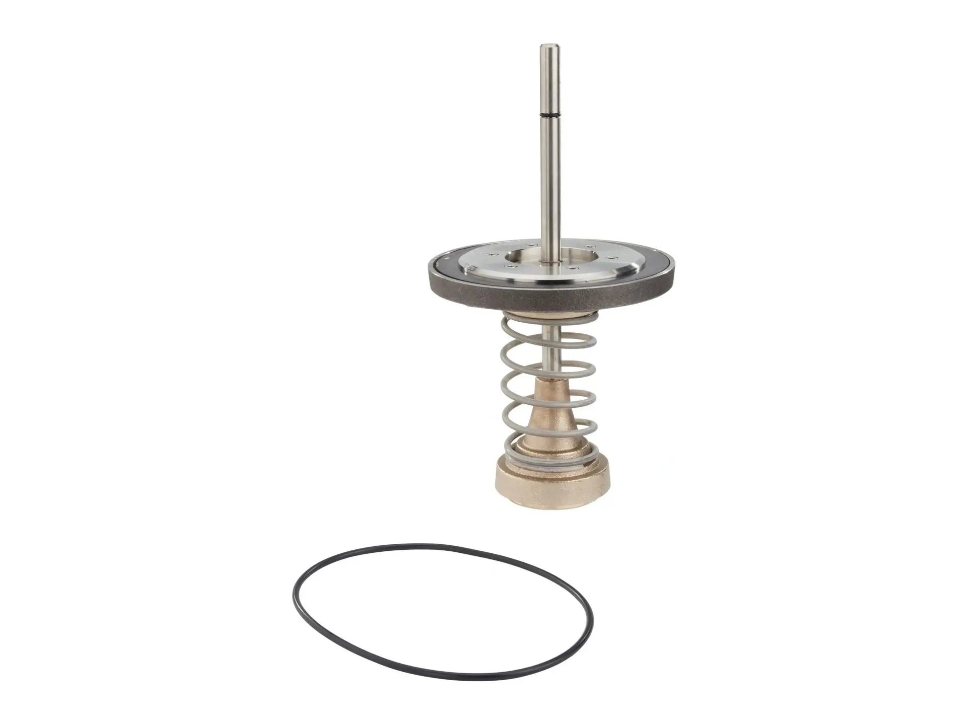 Watts 0794031, LFRK 709DCDA-CK2 Series 6 Repair Kit