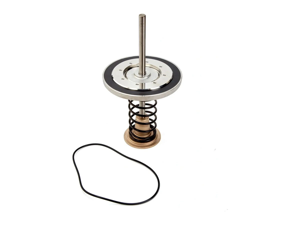 Watts 0794033, LFRK 709DCDA-CK2 10 Repair Kit