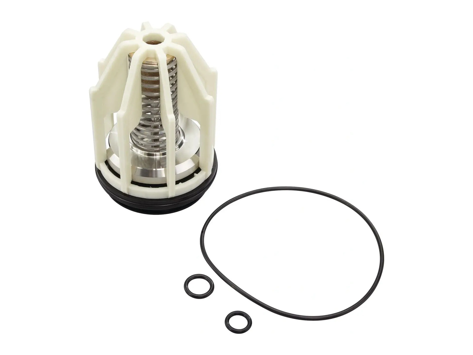 Watts 0794055, LFRK 009 CK2 Check Valve Kit