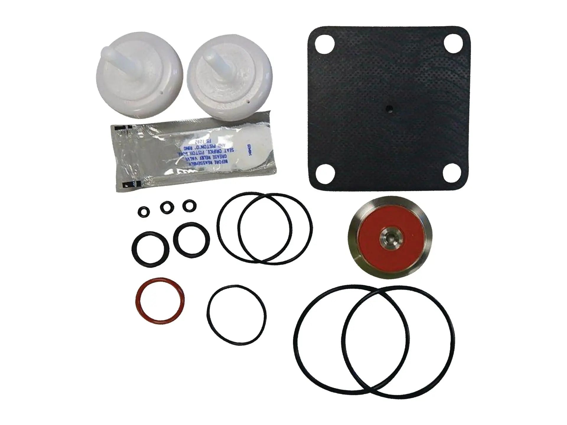 Watts 0794069, LFRK909-RT Rubber Parts Kit LdF