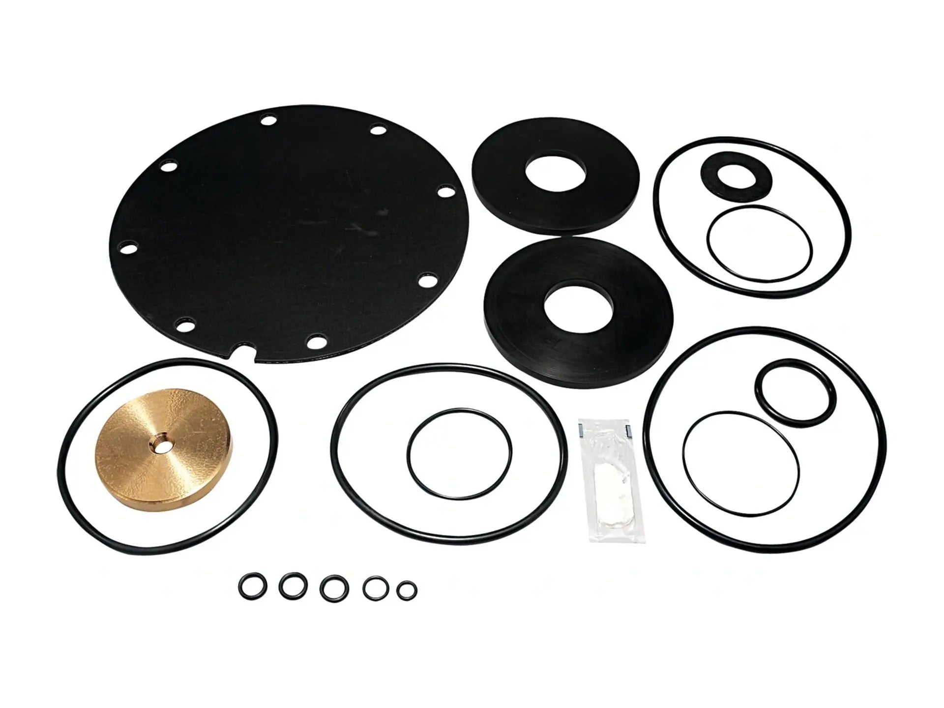 Watts 0794090, Total Rubber Parts Kit 4909 Lead Free