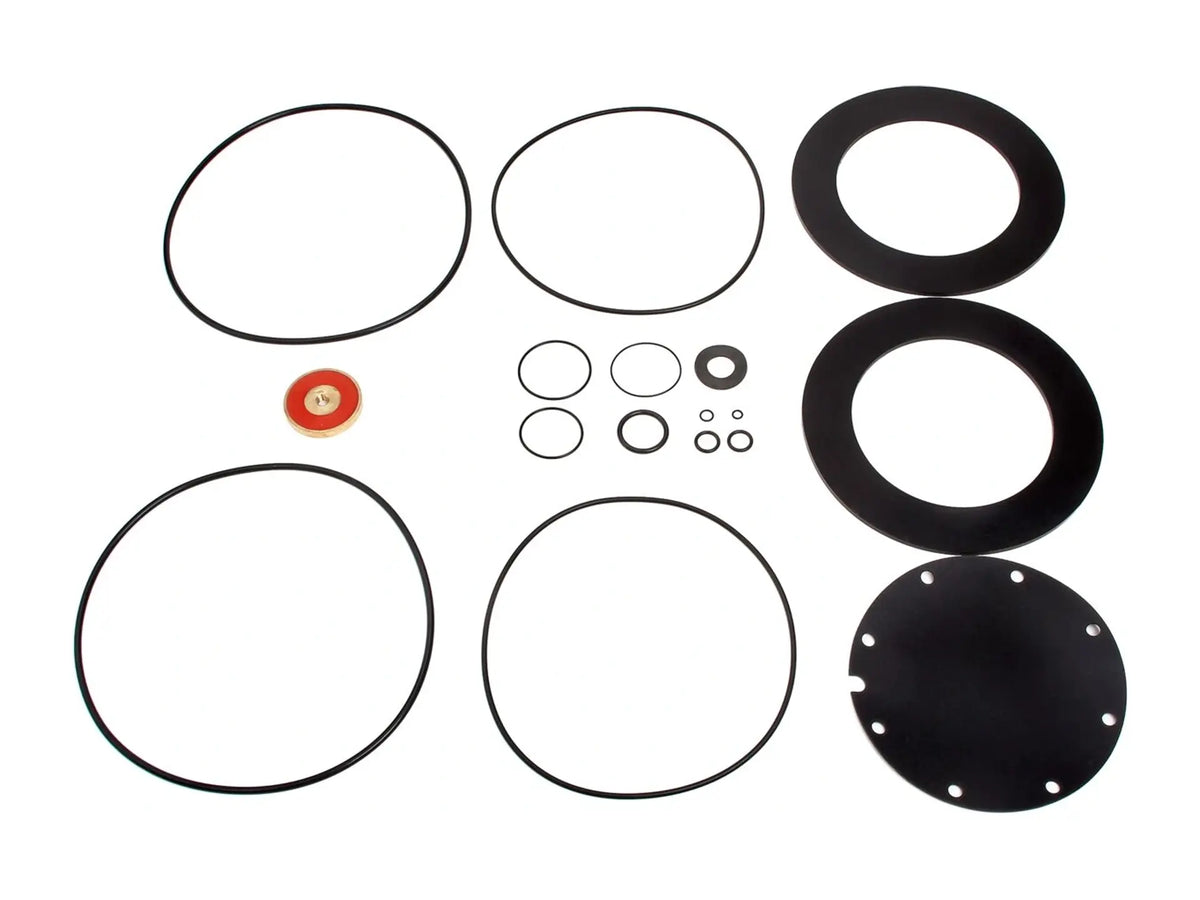 Watts 0794095, LFRK 909M1-RT 10 Repair Kit