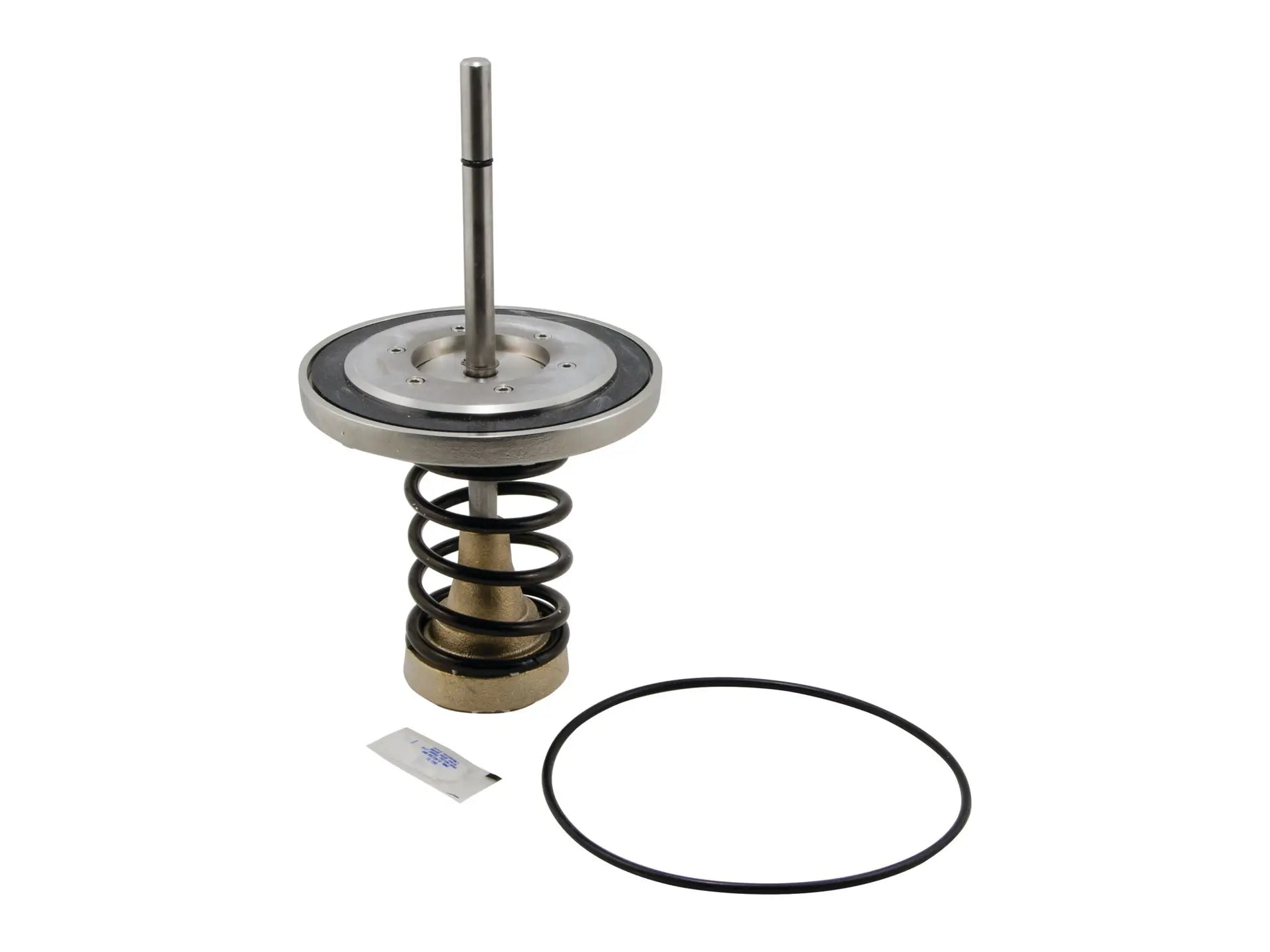 Watts 0794098, 1st Check Repair Kit 6", Lead Free