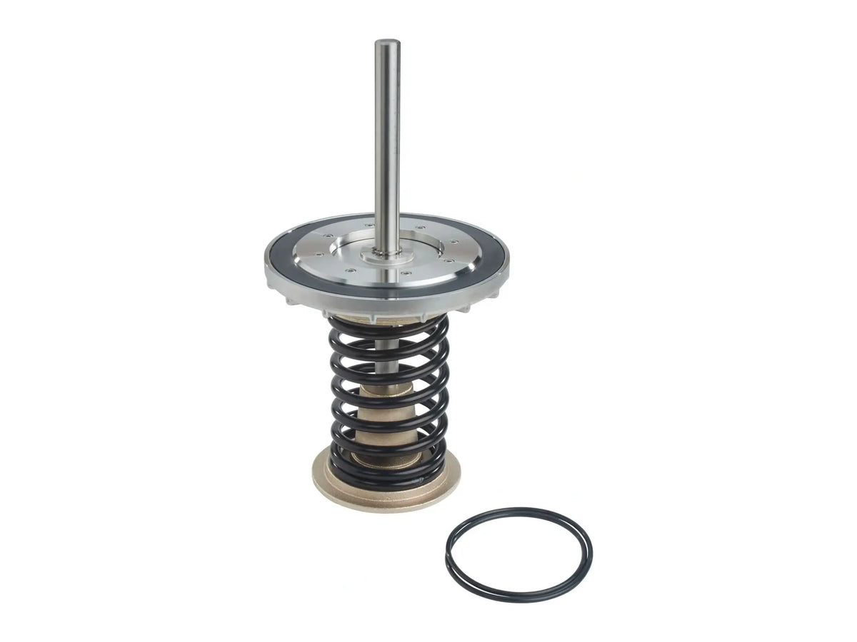Watts 0794100, CK#1 10 Check Valve Kit Lead Free