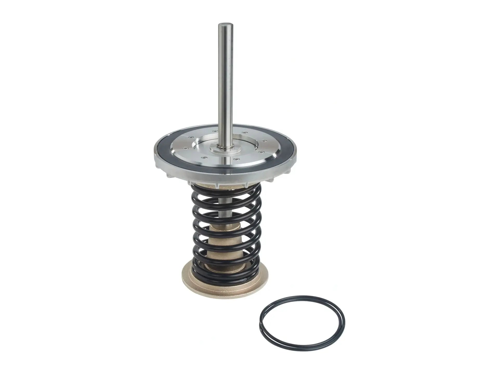 Watts 0794100, CK#1 10 Check Valve Kit Lead Free