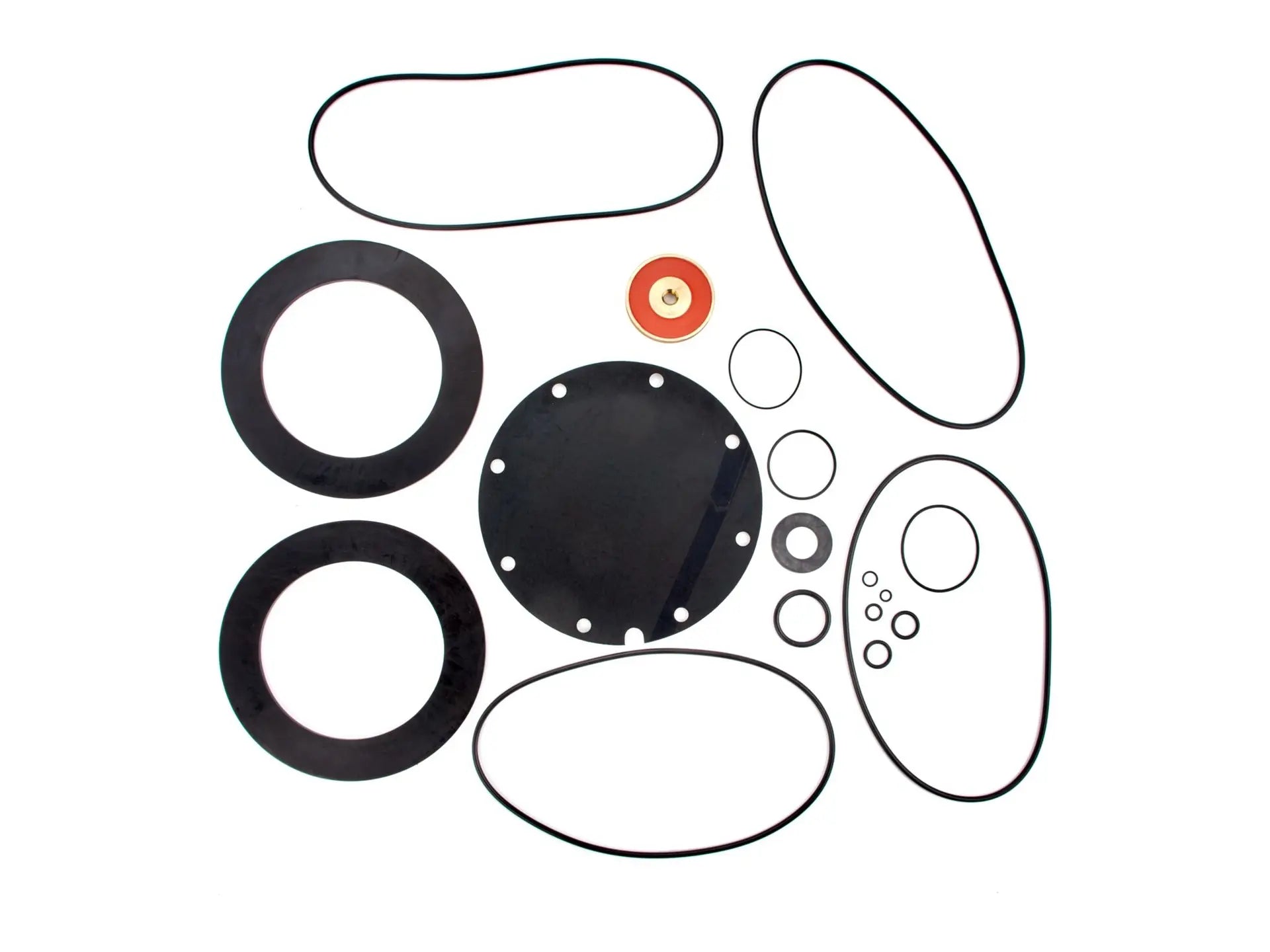 Watts 0794123, LFRK 909RPDA-RT 8 Repair Kit