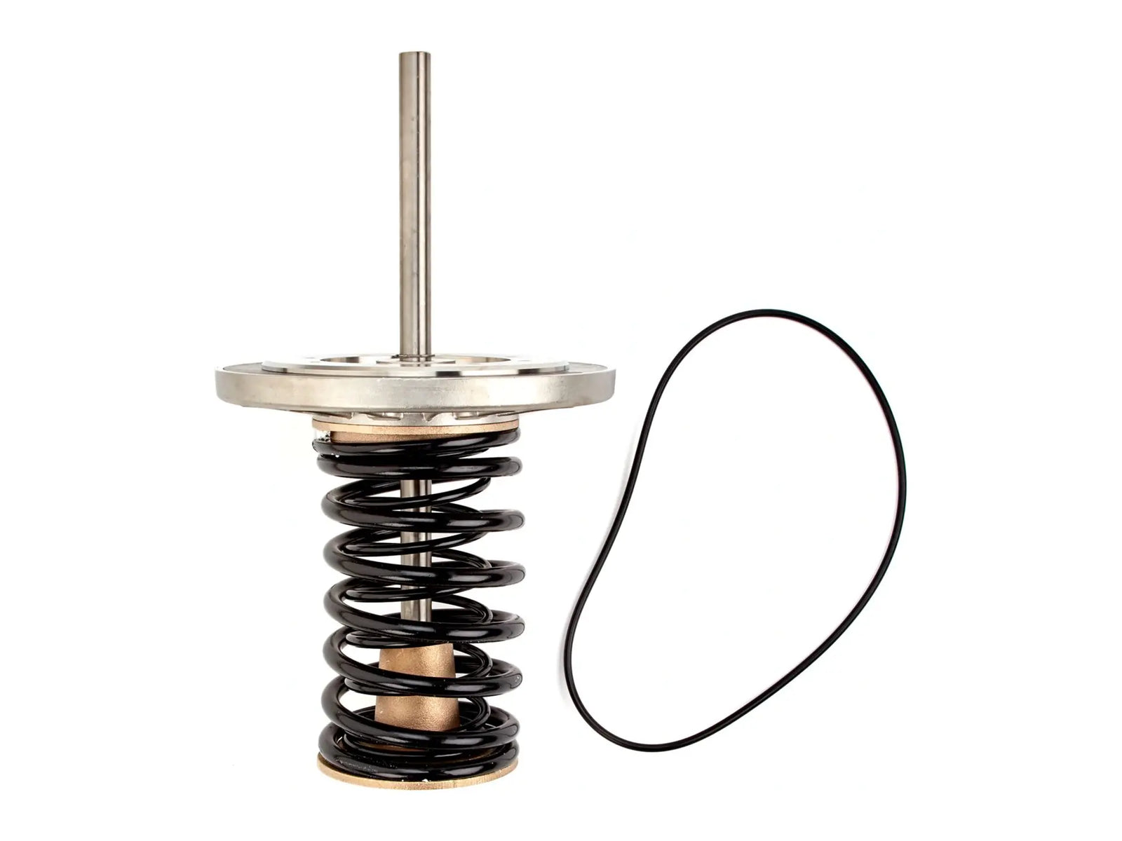 Watts 0794130, LFRK 909RPDA-CK1 10 Repair Kit