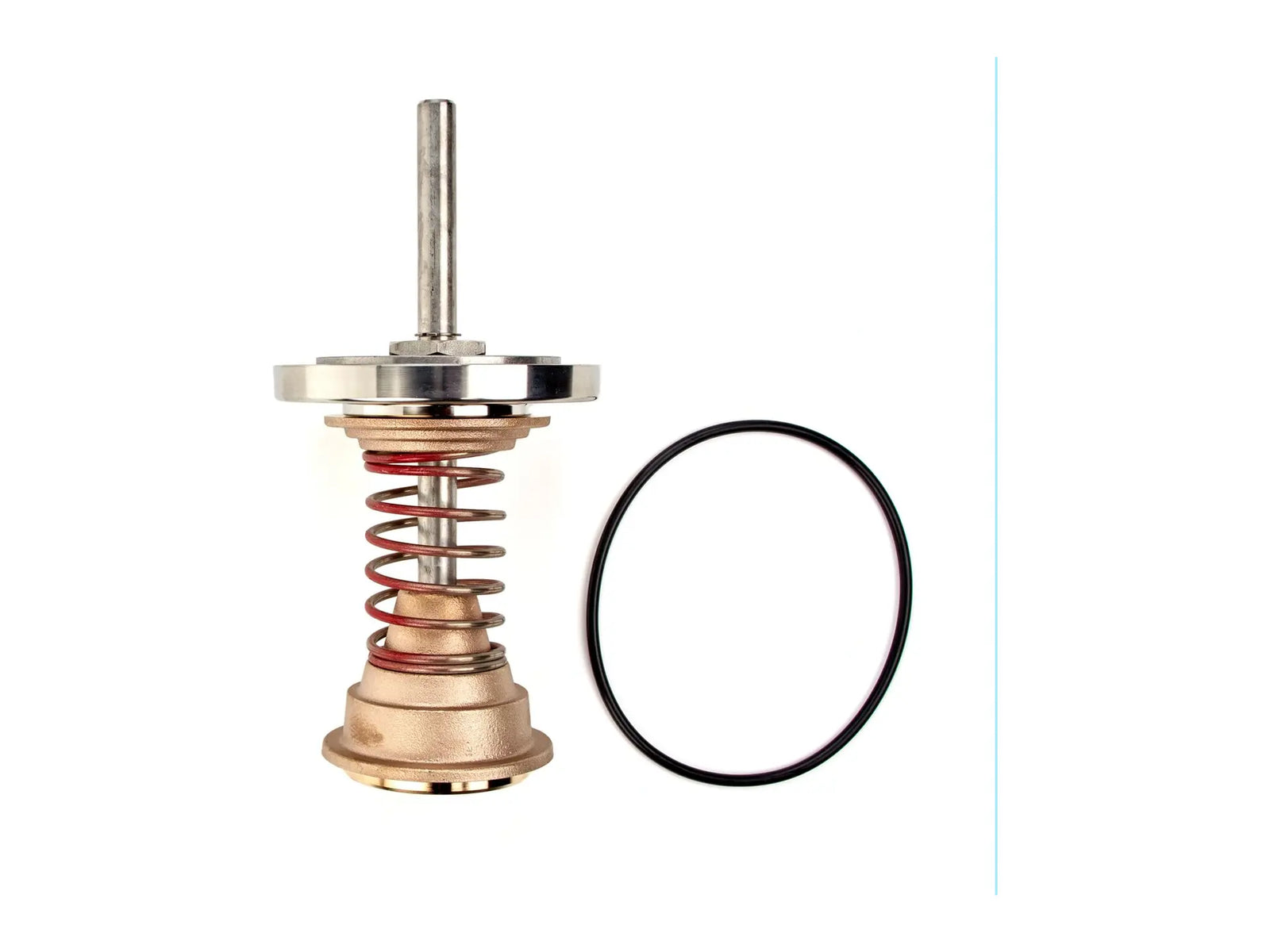 Watts 0794132, LFRK 909RPDA-CK2 Repair Kit