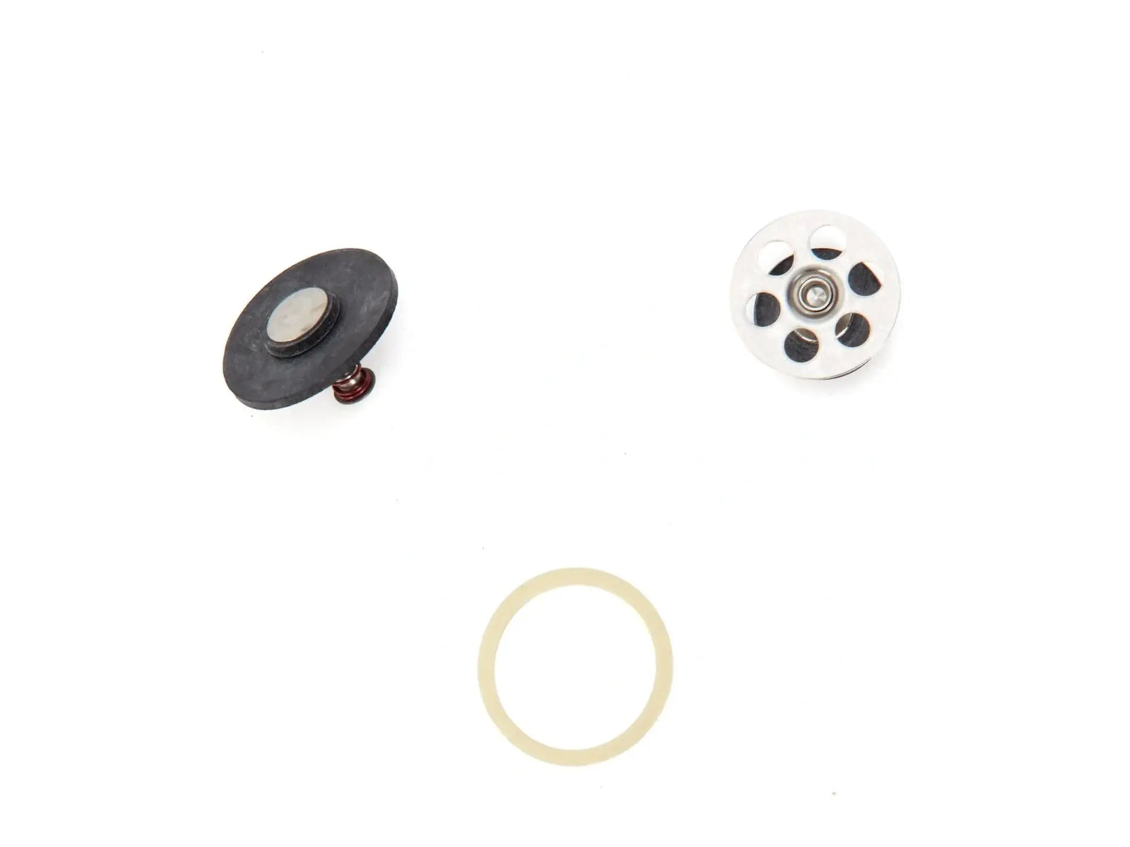 Watts 0886004, Repair Kit N9-3/4 RKN9-CDT