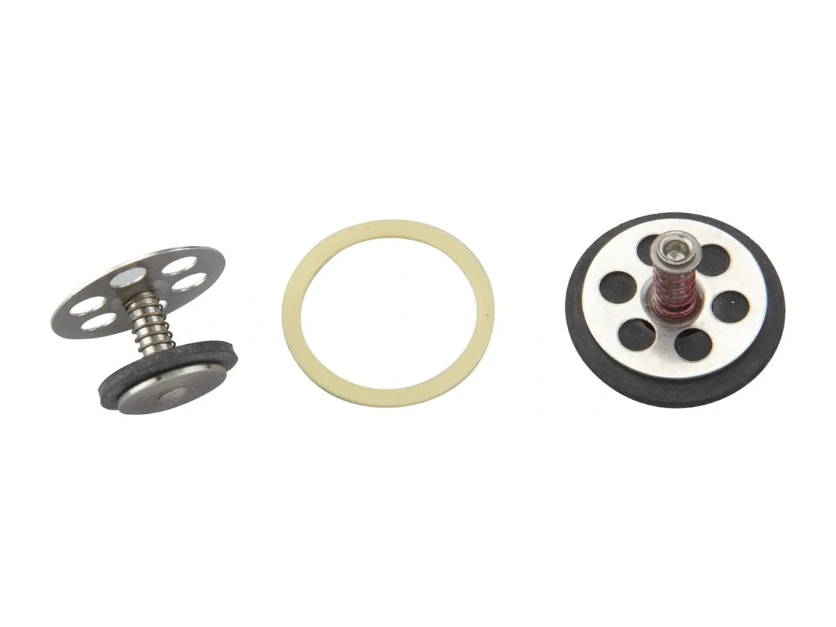 Watts 0886019, NLF9 Repair Kit, 3/8"