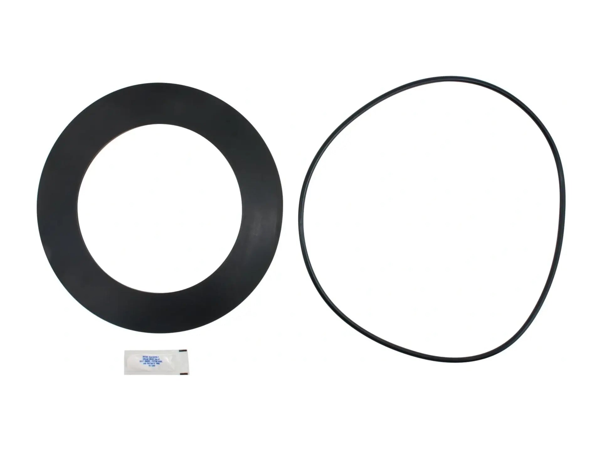 Watts 0887225, 10 In First Check Rubber Part Kit For Series 909 And Lf909