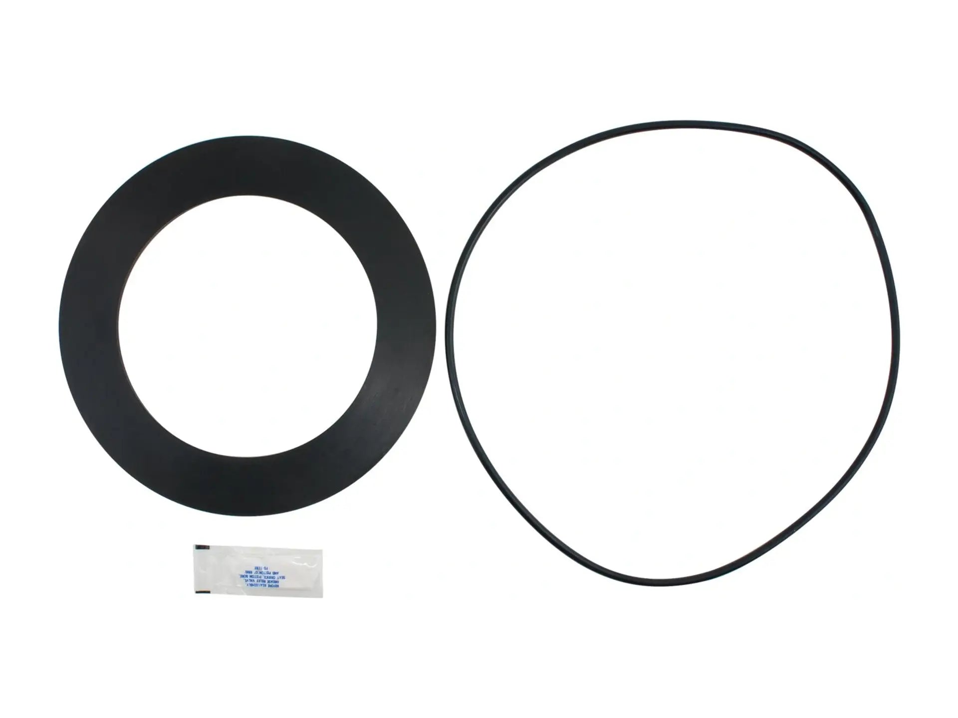 Watts 0887229, Rubber Parts Kit for Second Check 8"