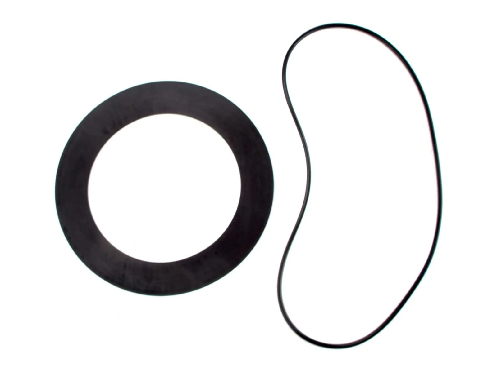 Watts 0887252, RK 909RPDA-RC1 Repair Kit for 8"