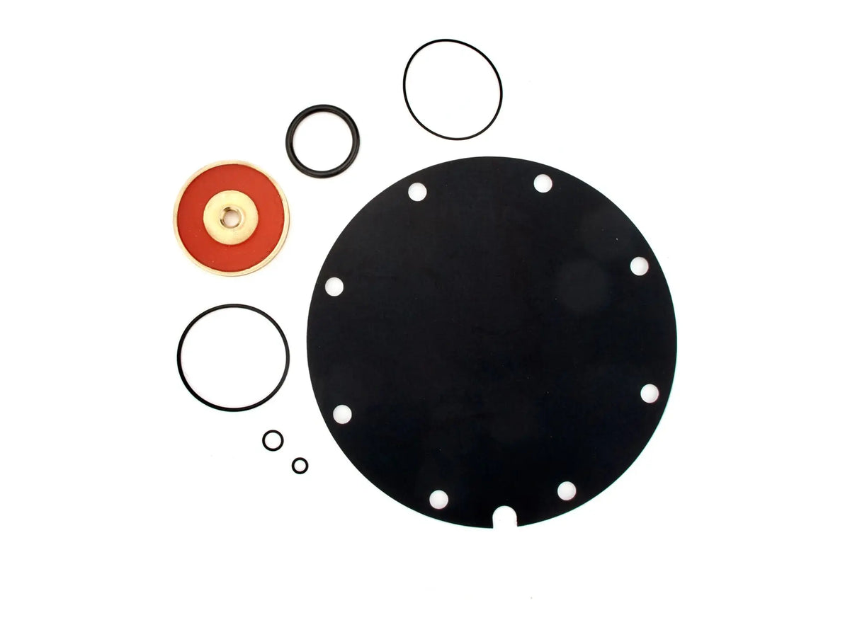 Watts 0887326, RK 990-RV 8 Repair Kit