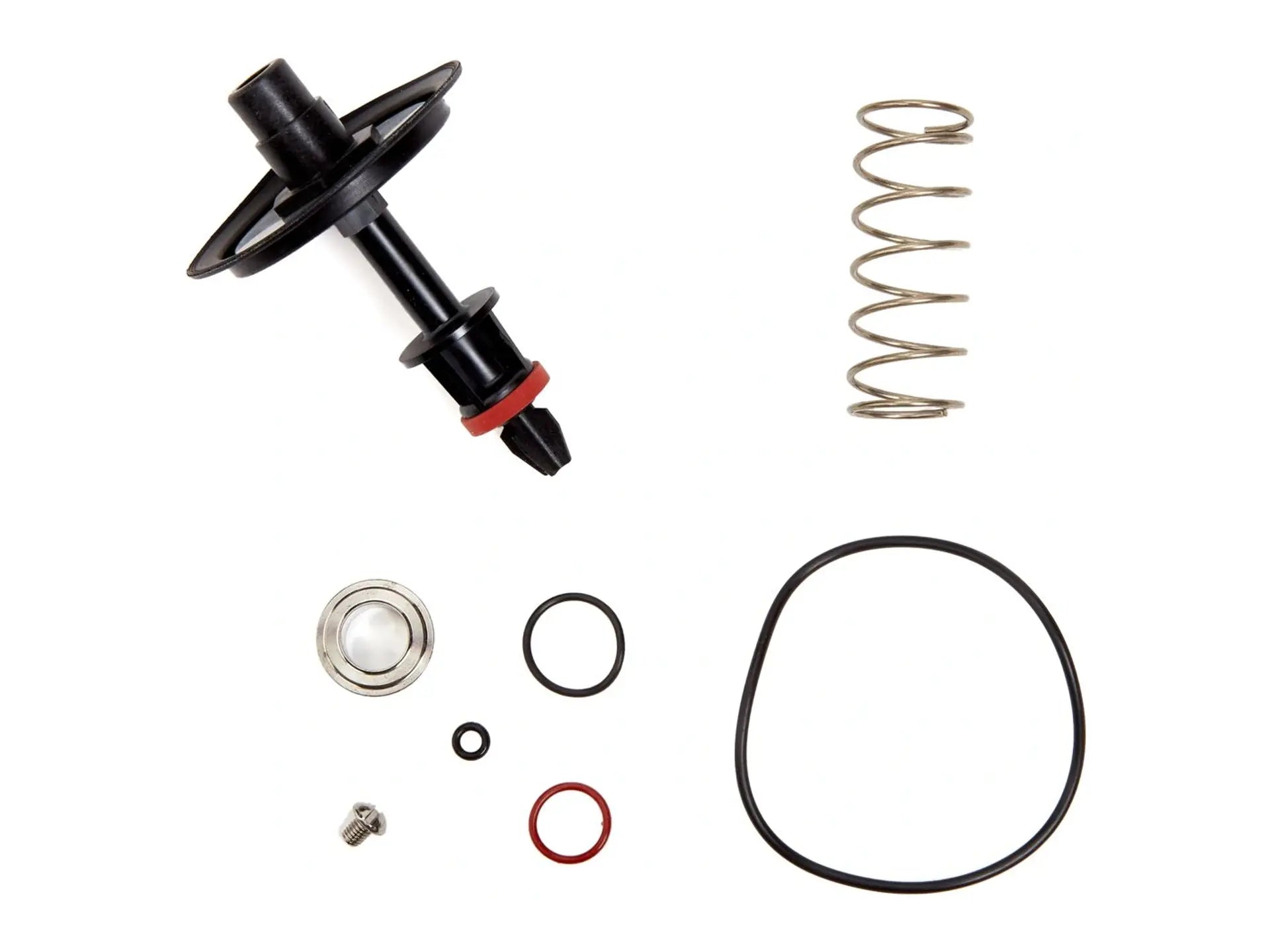 Watts 0887503, RKSS009VT 1" RLF Valve Kit