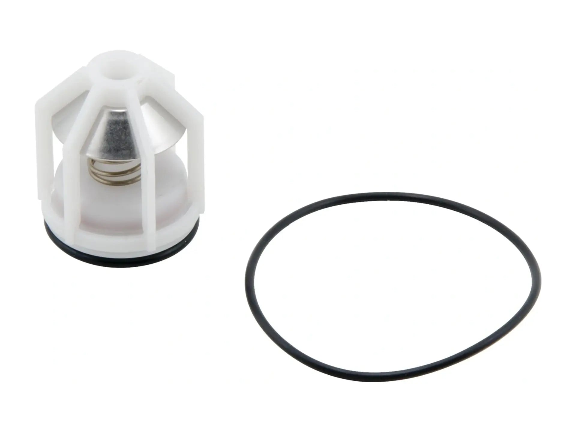 Watts 0887525, RKSS009VT-1 Check Valve Kit