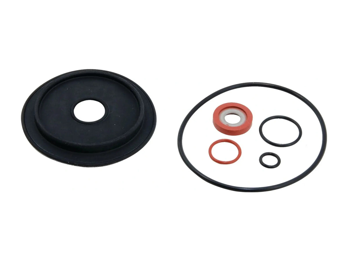 Watts 0887529, RK SS009-RV 1 Repair Kit