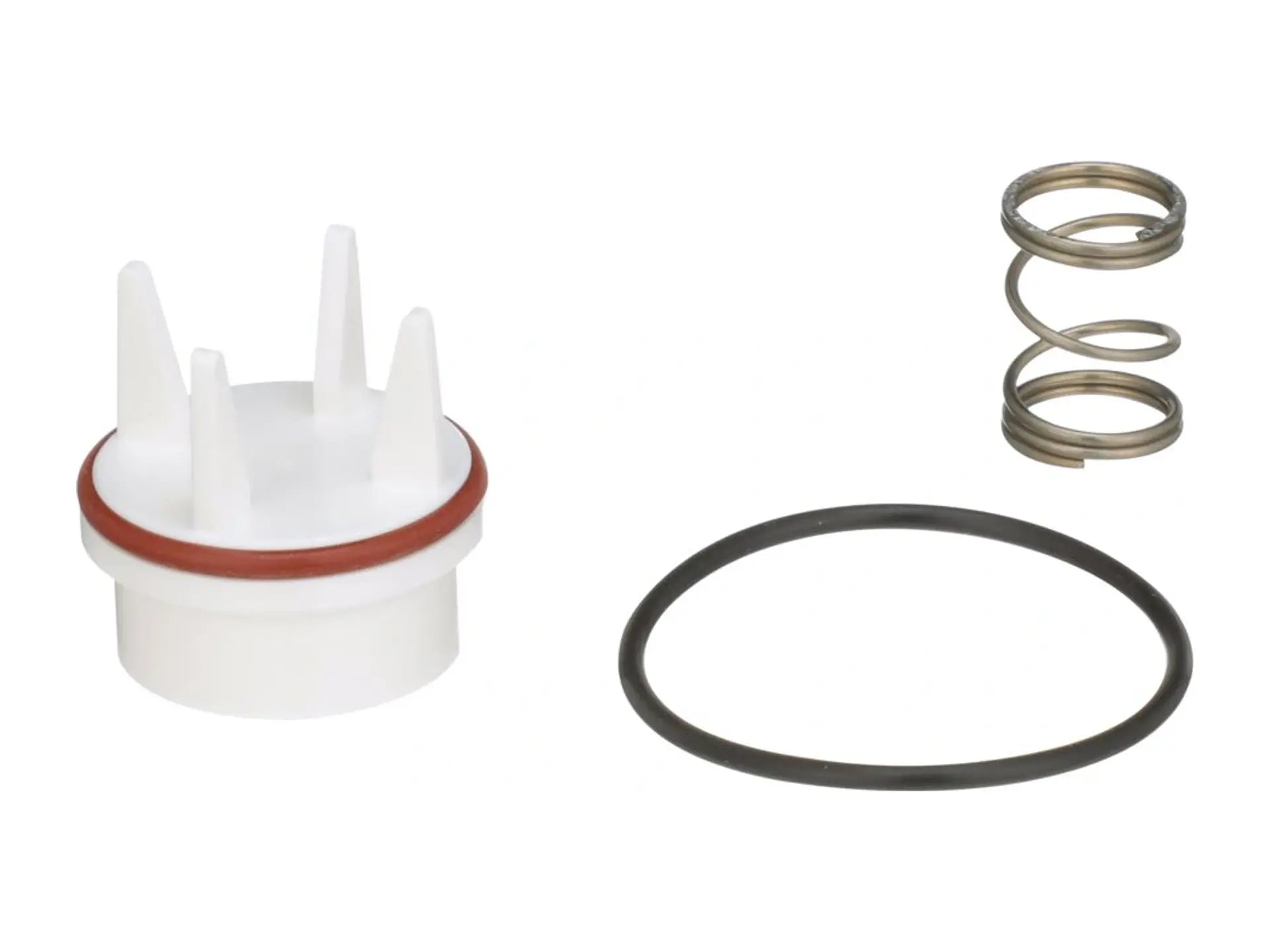 Watts 0887710, RK 800M4-V 1 Repair Kit