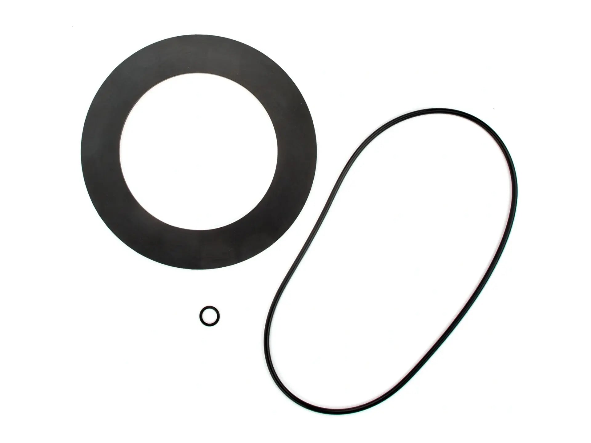 Watts 0887909, RK 709-RC4 Series Repair Kit