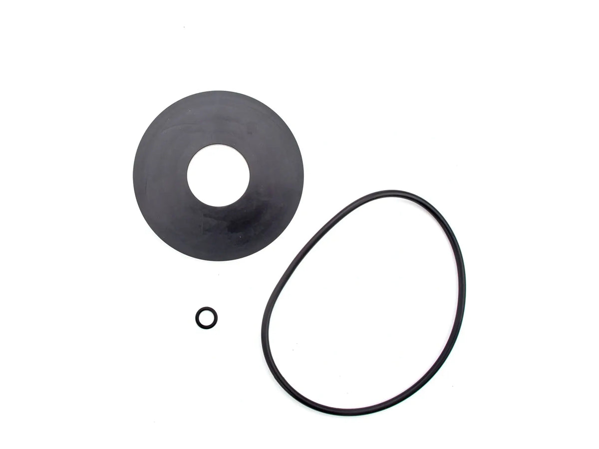 Watts 0887941, RK 709DCDA-RC4 Repair Kit