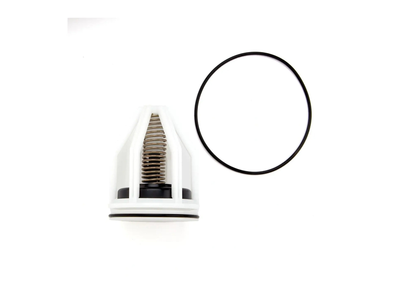Watts 0887980, RK 007DCDA-CK1 Series 2 Repair Kit