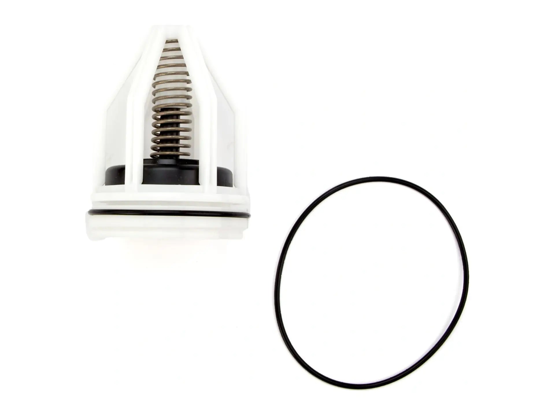 Watts 0887981, RK 007DCDA-CK2 Series 2 Repair Kit