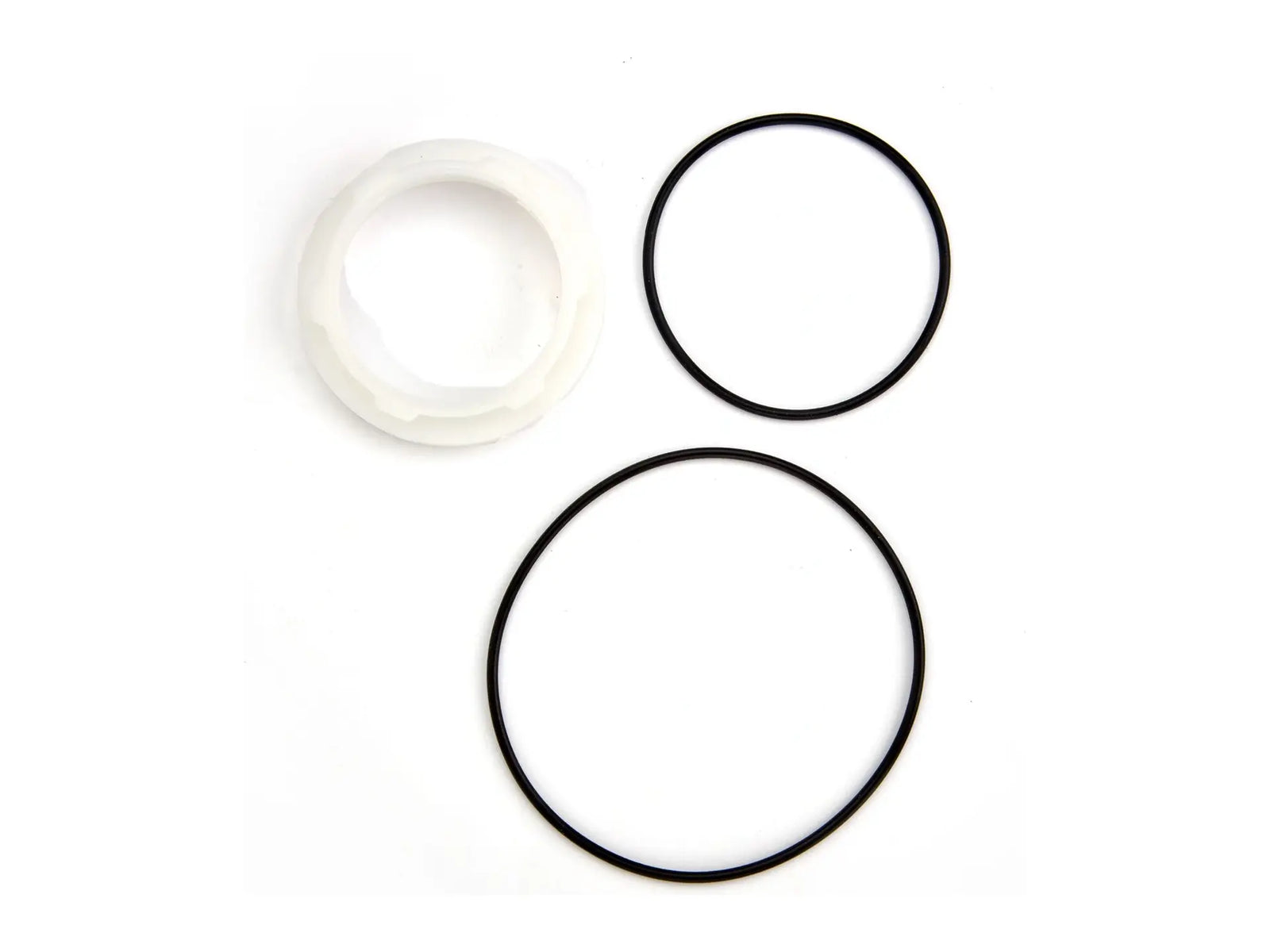 Watts 0887984, RK 007DCDA-S1 Series 2 Repair Kit