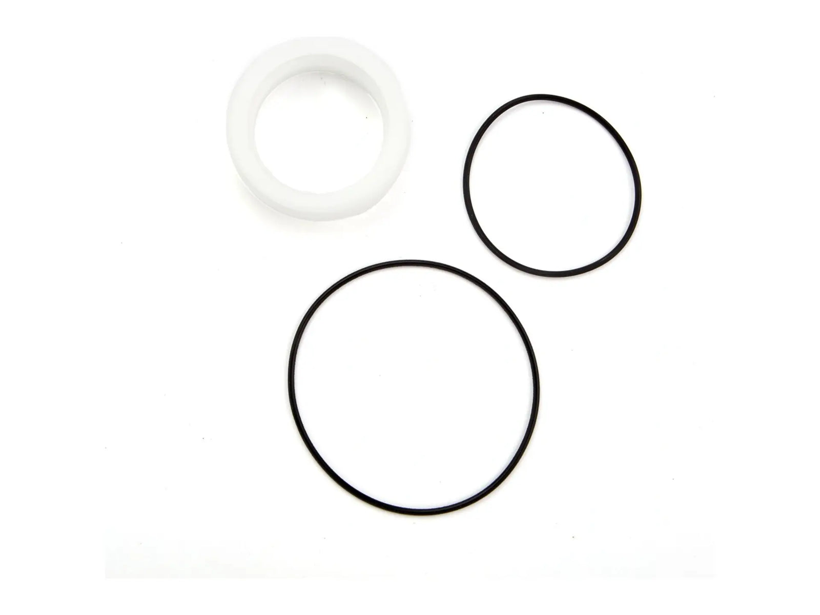 Watts 0887985, RK 007DCDA-S2 Series 2 Repair Kit