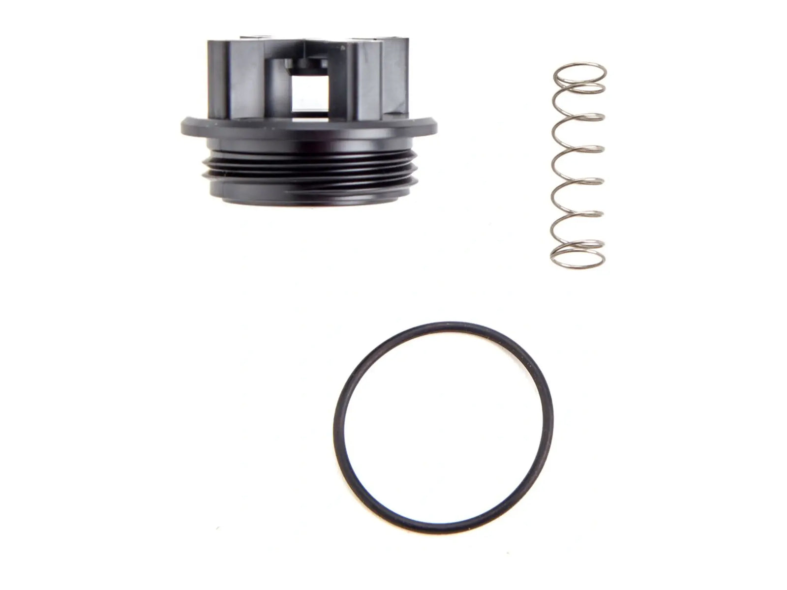 Watts 0888012, Repair Kit for 008QT