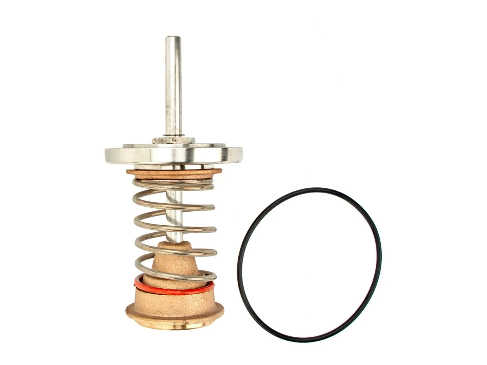 Watts 0888040, RK 993-CK1 Series Repair Kit